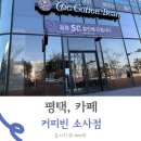 커피빈평택소사점 | 평택 소사벌 카페 커피빈 50% 할인 방문 후기