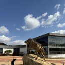 연천고랑포구 역사공원 | [연천] 서울 근교 아이와 함께 하기 좋은 연천 고랑포구 역사공원, 실내 VR/AR 체험 전시부터 오감...