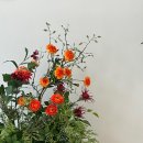 다니앤제이스튜디오 이미지