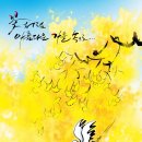 꽃과나무꾼 - 성남시 분당구 대왕판교로 412 | 꽃과나무꾼