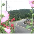 청도초등학교 이미지