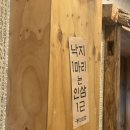 착한낙지 정림점 | 대전 정림동 착한낙지 | 얼음막걸리와 매콤한 낙지볶음 후기