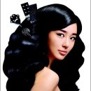 레이디캐슬