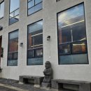 돼지 | 제주도 성산일출봉 근처 맛집 돌담애 흑돼지 후기