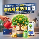 시드테크 | 2026케이뱅크 돈나무키우기 돈나무 영양제 부족할 때 품앗이 링크 채우는 앱테크 후기