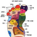 발건강 이미지