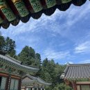 북면406 | 9월 첫 일상