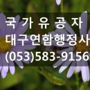 김덕수 행정사사무소 이미지