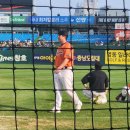 마티네 콘서트 「마실」 - 해피해프닝 | 2023 야구 직관 정산 (2)