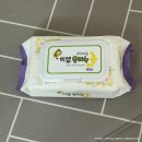 청자 | 2026 54회 강진 청자 축제 다녀온 후기 (강아지 가능)