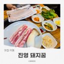 돼지꿈이야기 | 진영고기집 장어와 삼겹살을 함께 즐긴 진영 돼지꿈