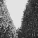 동편목장 이미지