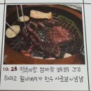 제이다이어리 | [포토다이어리 5개월 후기] 캐논 인스픽p2, 코닥 미니 2 레트로 (내돈내산)