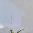 용화카센타 이미지