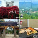 죽림가든 | 베트남 달랏 가볼만한 곳 프레쉬가든, 죽림사 케이블카, 죽림선원, 가을