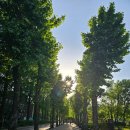 자연의 품 이미지