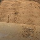 진동근린공원 이미지