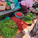 개풍한의원 이미지