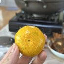 신진수산회센타
