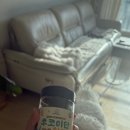 우리집강아지 | 후코이단 황태 간식, 우리 집 강아지 면역 챙겨주는 간식 후기