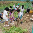 개령서부초교 이미지