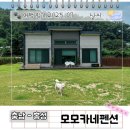 모모카 | 충남 홍성 애견 독채 모모카네 펜션 신축 700평 잔디마당 히노끼탕