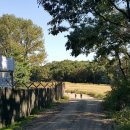 한강철책길 이미지