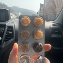 이효석문학관 | 강원도 여행, 평창 휘닉스파크 그린동 스위트 이효석문학관 메밀꽃필무렵 (메밀국수 맛집)