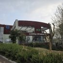 정연돈카츠 네이버블로그