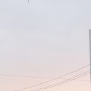 춘천명물닭갈비 이미지