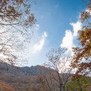 천상골민박