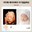 마미톡 베이비매직 가격 아기얼굴예상 사진 소요시간