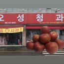 오성청과