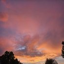 So many thoughts 이미지