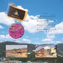 해룡초등학교 이미지