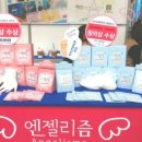 엔젤리즘 이미지