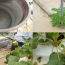 번등농장 이미지