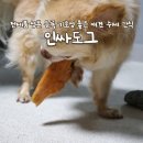 인싸도그 | 기호성 좋은 애견 수제간식 인싸도그 통가슴살져키 구매 후기