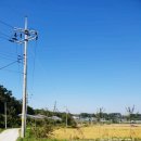 율면목욕탕 | 이천 아이와 가볼만한곳 돼지박물관(테마파크) 돼지 보러 오면 돼지~