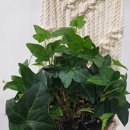 천연수세미랑 마크라메 공예 | 부산 강서구 아파트 돌봄센터 마크라메 도어벨 수업