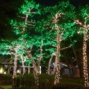 장미무도장 이미지