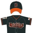 성수면 야구장 이미지