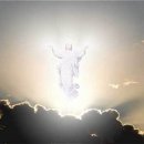 (주)엘샤다이 이미지