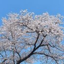 트리플8호텔 이미지