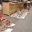 너마늘위한치킨 이미지