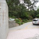 금강식물원 Daum카페