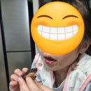 CU편의점(연수사랑가득점) | CU 두쫀쿠 두바이 디저트 재고조회 및 내돈내산 후기(feat. 넘나 맛있어)