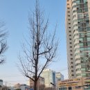 무량검도관 이미지