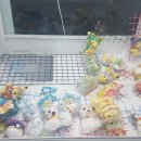 뽑기초보샵 이미지