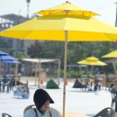책방까사이든 이미지